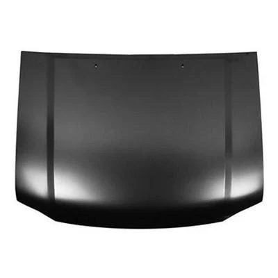 2002 Hyundai XG350 : Hood Painted