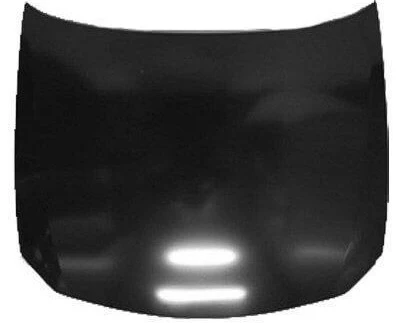 2003 Ford Escort : Hood Painted