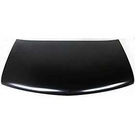 2003 GMC Safari : Hood Painted