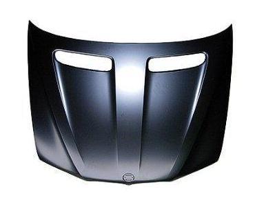 2005 BMW X5 : Hood Painted