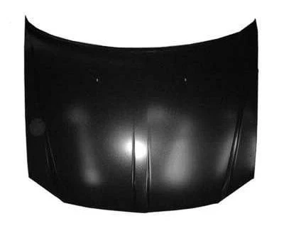 2005 Dodge Magnum : Hood Painted