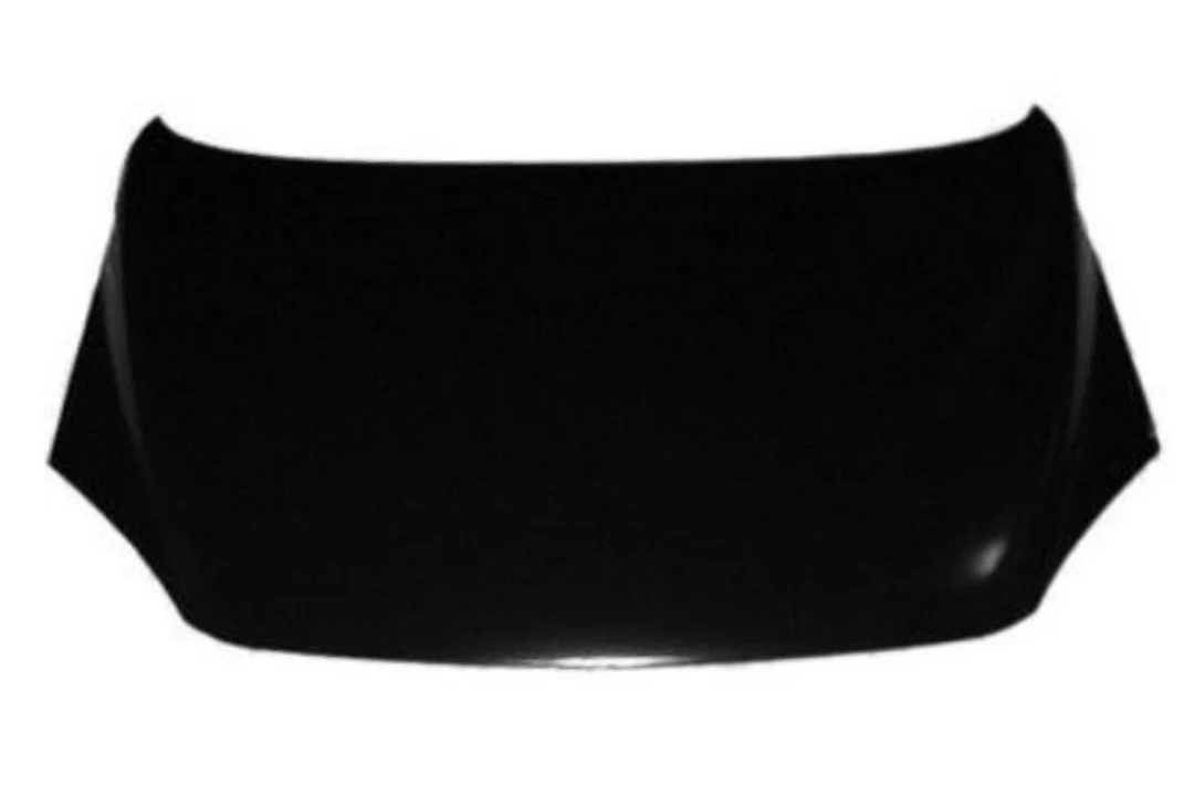 2006 Pontiac Montana : Hood Painted