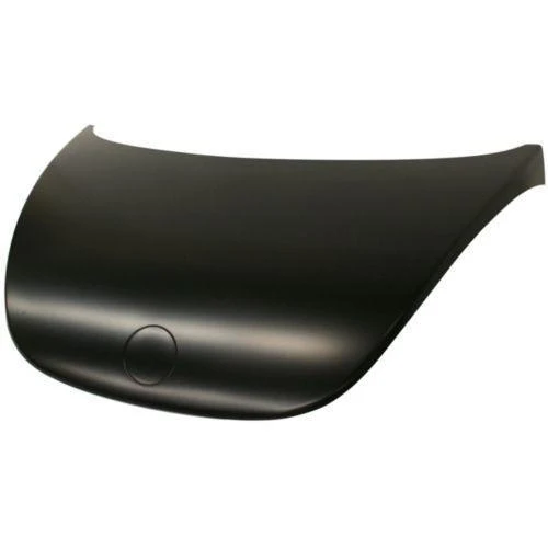 2007 Volkswagen Beetle : Hood Painted