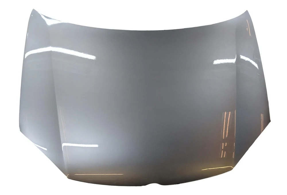 2007 Volkswagen Rabbit : Hood Painted