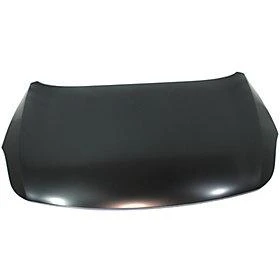 2008 Hyundai Veracruz : Hood Painted