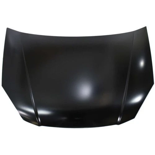 2008 Kia Rio : Hood Painted