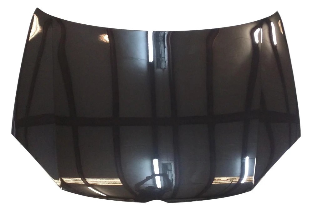 2008 Volkswagen GTI : Hood Painted