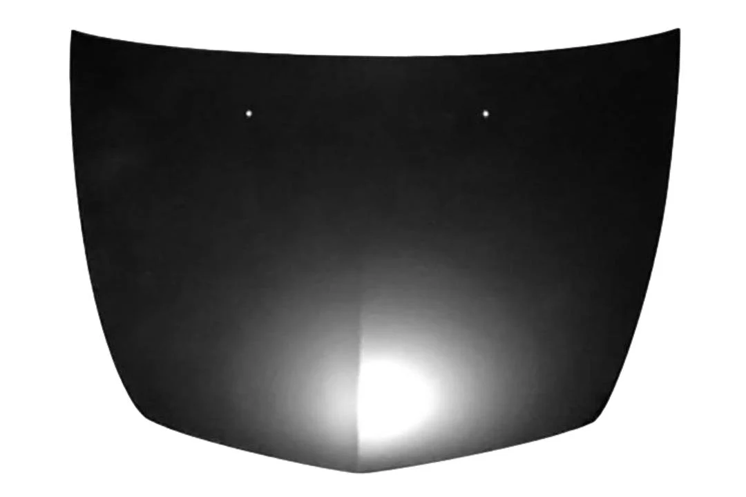 2009 Chevrolet Malibu : Hood Painted (Hybrid)