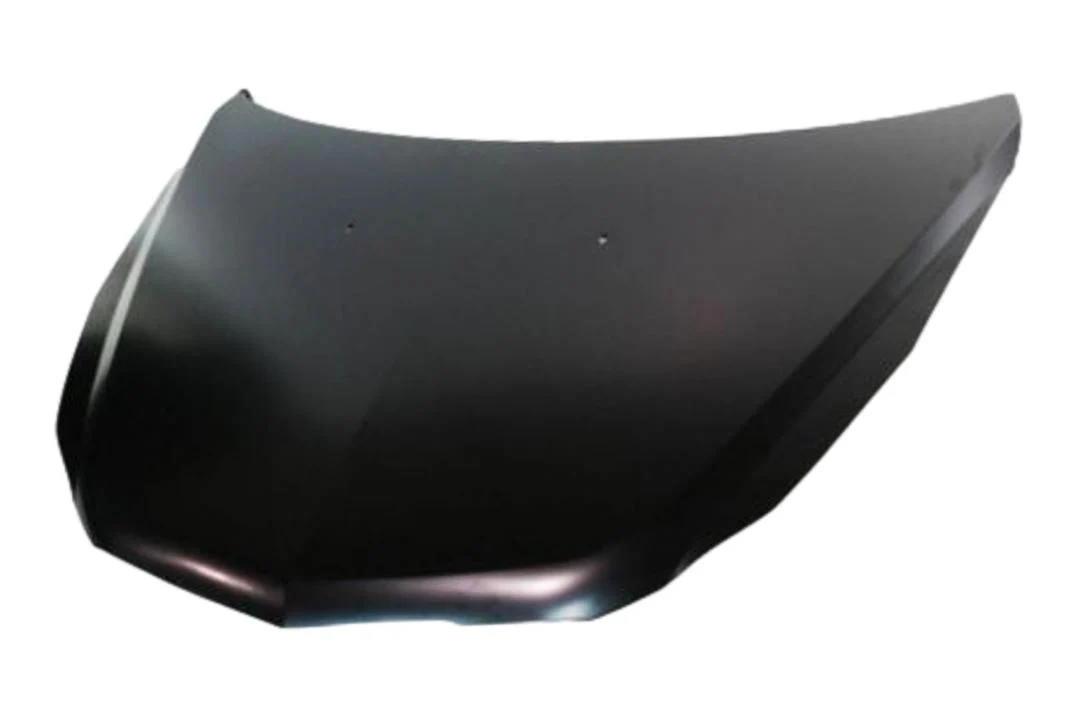 2009 Chevrolet Traverse : Hood Painted