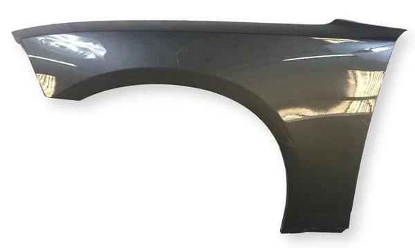 2009 Dodge Charger : Fender Painted - Image 7