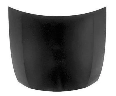 2009 Lexus GS460 : Hood Painted