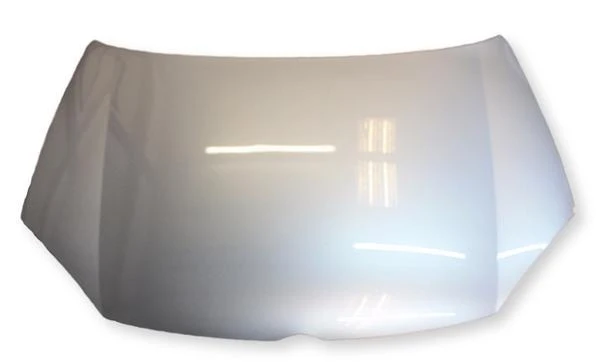 2009 Volkswagen Jetta : Hood Painted