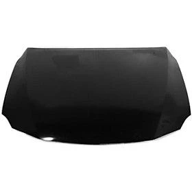 2010 Lexus IS250 : Hood Painted