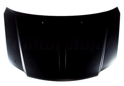 2013 Dodge Grand Caravan : Hood Painted - Image 4