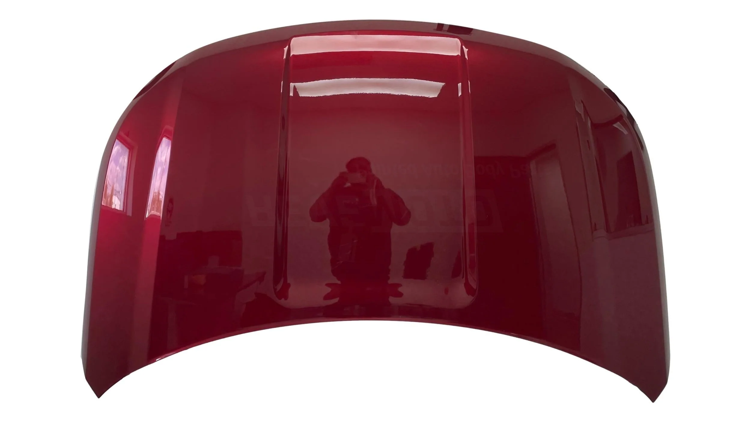 2016-2019 Ford Explorer : Hood Painted (OEM)