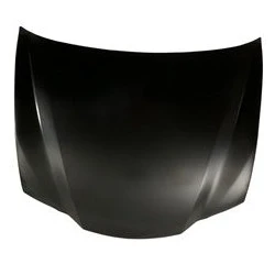 2020 Lexus GS350 : Hood Painted